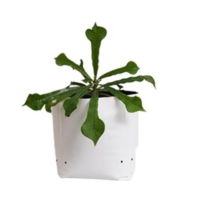 Abono Grow Bags Small size for Home Gardening