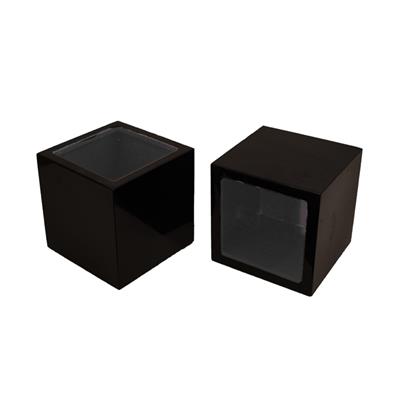 Abono Black Planter- Square Shape, Pack of 2