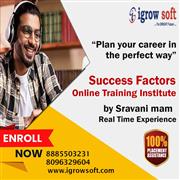 SAP Success Factors training and placement Assistance | Igrowsoft