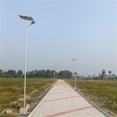 Why Choosing the Right Solar Street Light Manufacturer in India Matters
