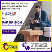 Best SAP HR HCM Online Training in Hyderabad | Igrowsoft