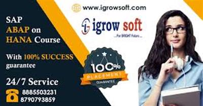 SAP ABAP on HANA Online Training in Hyderabad | Igrowsoft