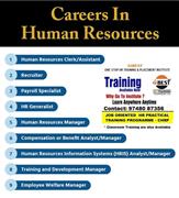 HR Diploma practical training programme