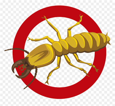 Biochem pest control service in Thanjavur