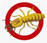 Biochem pest control service in Thanjavur