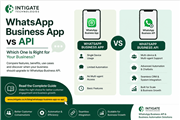 WhatsApp Business App vs API – Which Is Right for Your Business?