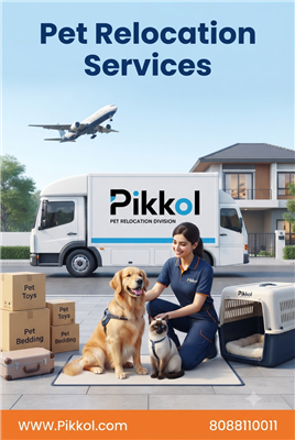 Safe and Reliable Pet Relocation Services by Packers and Movers
