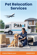 Safe and Reliable Pet Relocation Services by Packers and Movers