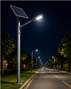 Solar Street Light Manufacturer in India | Zitroen