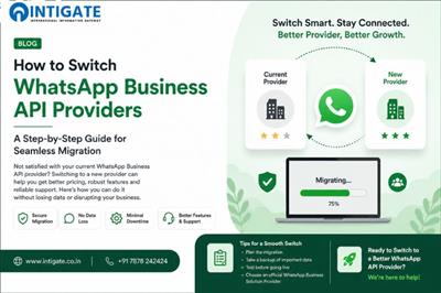 How to Switch WhatsApp Business API Providers Without Disrupting Your Business