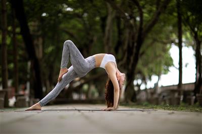 Top-Rated Yoga Classes Mohali – Tiger Warriors Academy