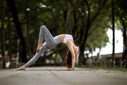 Top-Rated Yoga Classes Mohali – Tiger Warriors Academy