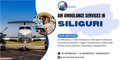 Air Ambulance Services from Siliguri to Chandigarh Swift Care Network