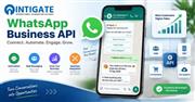 WhatsApp Business API Provider in Noida – Intigate