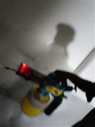 Biochem pest control service in Thanjavur