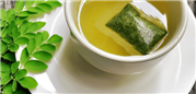 Moringa Tea Bags - Moringa Wholesale