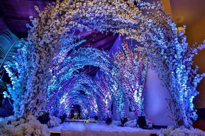 Hire a Professional Wedding Stage Decor