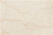 The most Comprehensive Source for Importing Italian Marble in Delhi