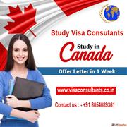 Study visa consultants in jalandhar