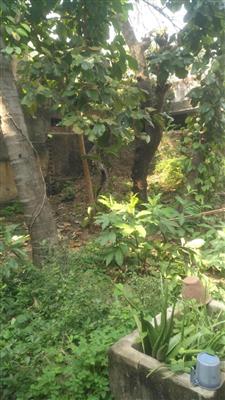 Land for sale in Chengalpet