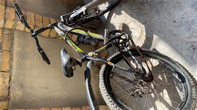 24 inch cycle nice cycle