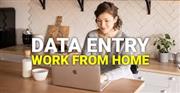 Work From Home Filling Data Entry Project | Apply Today