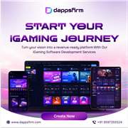 Need iGaming MVP Built on Limited Budget – Investors Ready