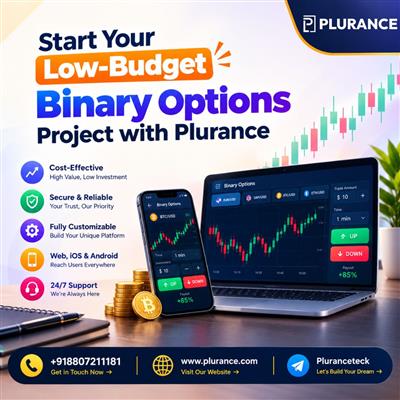 Low-budget binary options trading platform development