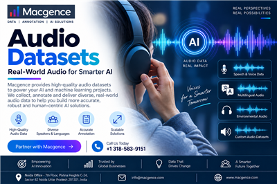 Audio Datasets for Accurate Speech Recognition Systems