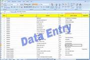 Work from Home: US Data Entry Opportunity