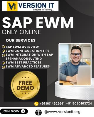Master SAP EWM with Version IT- One of the Best SAP EWM Training in Bangalore