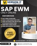 Master SAP EWM with Version IT- One of the Best SAP EWM Training in Bangalore
