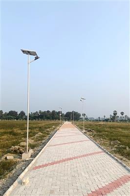 Solar Street Light Manufacturer in Maharashtra | Outdoor Lighting Solutions