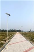 Solar Street Light Manufacturer in Maharashtra | Outdoor Lighting Solutions
