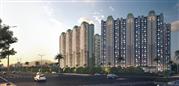 Are you in need of apartments in a popular residential complex in Noida?