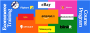E-Commerce Training Program Course – Master Online Selling