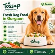 Dog Food Delivery in Gurgaon – Fresh Meals for Dogs