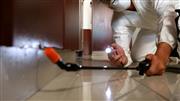 Post/pre Termite control Biochem pest control service in Trichy