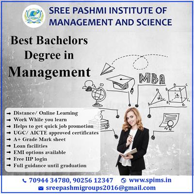 Best Bachelors Degree in Management